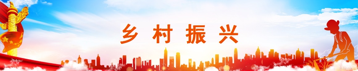 乡村振兴